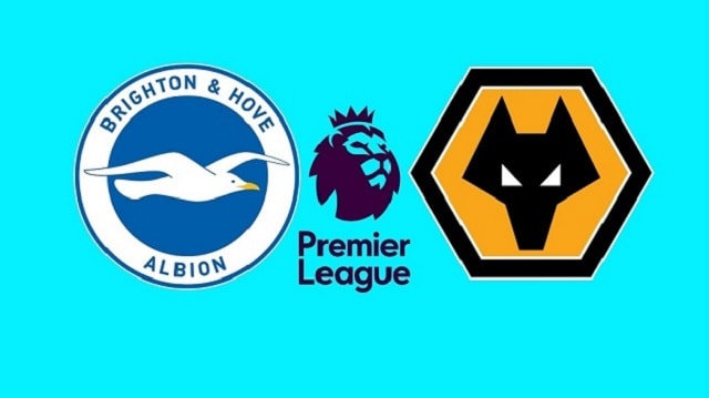 Soi kèo nhà cái trận Brighton vs Wolves, 03/01/2021