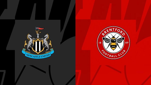 soi keo newcastle vs brentford, 08/10/2022 – ngoai hang anh