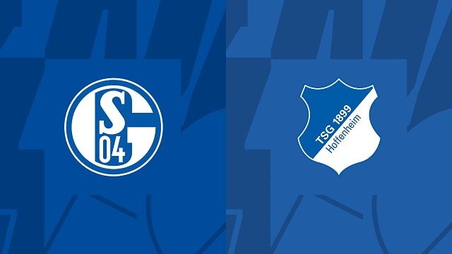 soi keo schalke vs hoffenheim, 15/10/2022 – vdqg duc